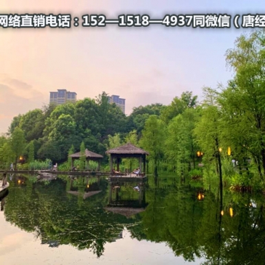 〖璧山新欧鹏凤凰城〗【项目详细介绍】